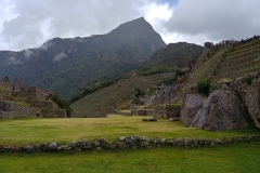 Machu Picchu 76