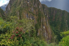 Machu Picchu 78 - Huayna Picchu