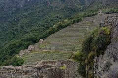 Machu Picchu 80