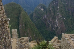 Machu Picchu 81