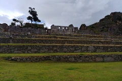 Machu Picchu 82