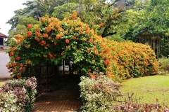 Malacca - Palace museum garden 5