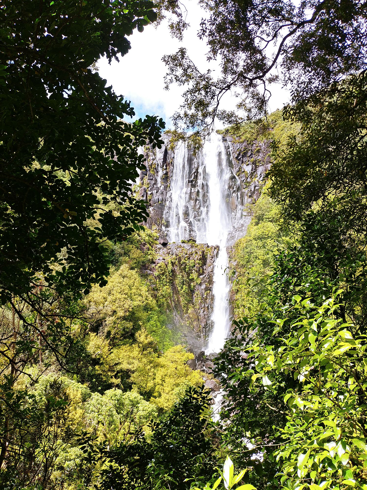 Wairere Falls 07