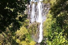 Wairere Falls 07