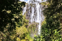 Wairere Falls 08