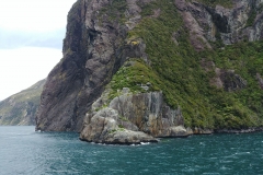 Milford Sound 15