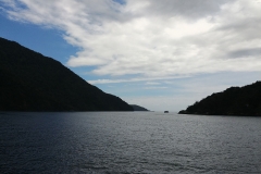 Milford Sound 19 - Tasman Sea
