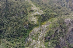 Milford Sound 31