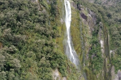 Milford Sound 39 - Stirling Falls