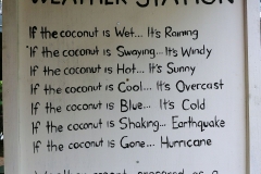 Nadi - Coconut weather
