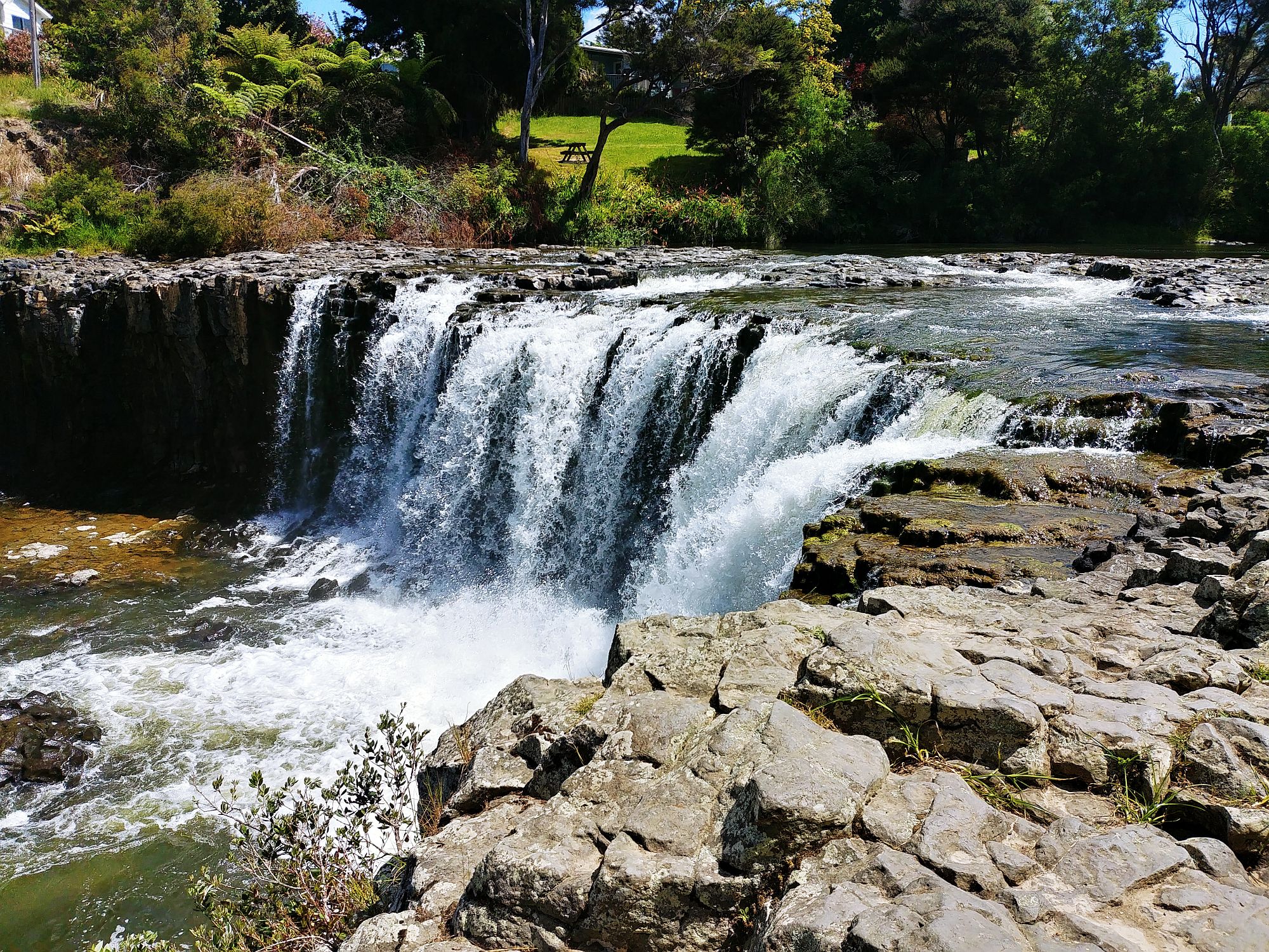 Haruru Falls - 26