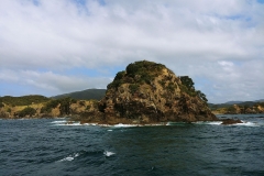 Bay of Islands - 13