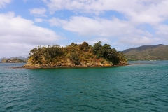 Bay of Islands - 17