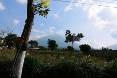 Central Java - Fields and mountain