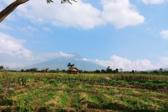 Central Java - Fields and mountain2