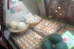 Pike Place Market - 03 - Ostrich eggs
