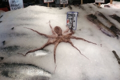 Pike Place Market - 05 - Fish stall - Octopus