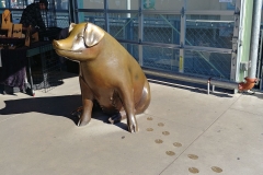 Pike Place Market - 07 - Piggy bank