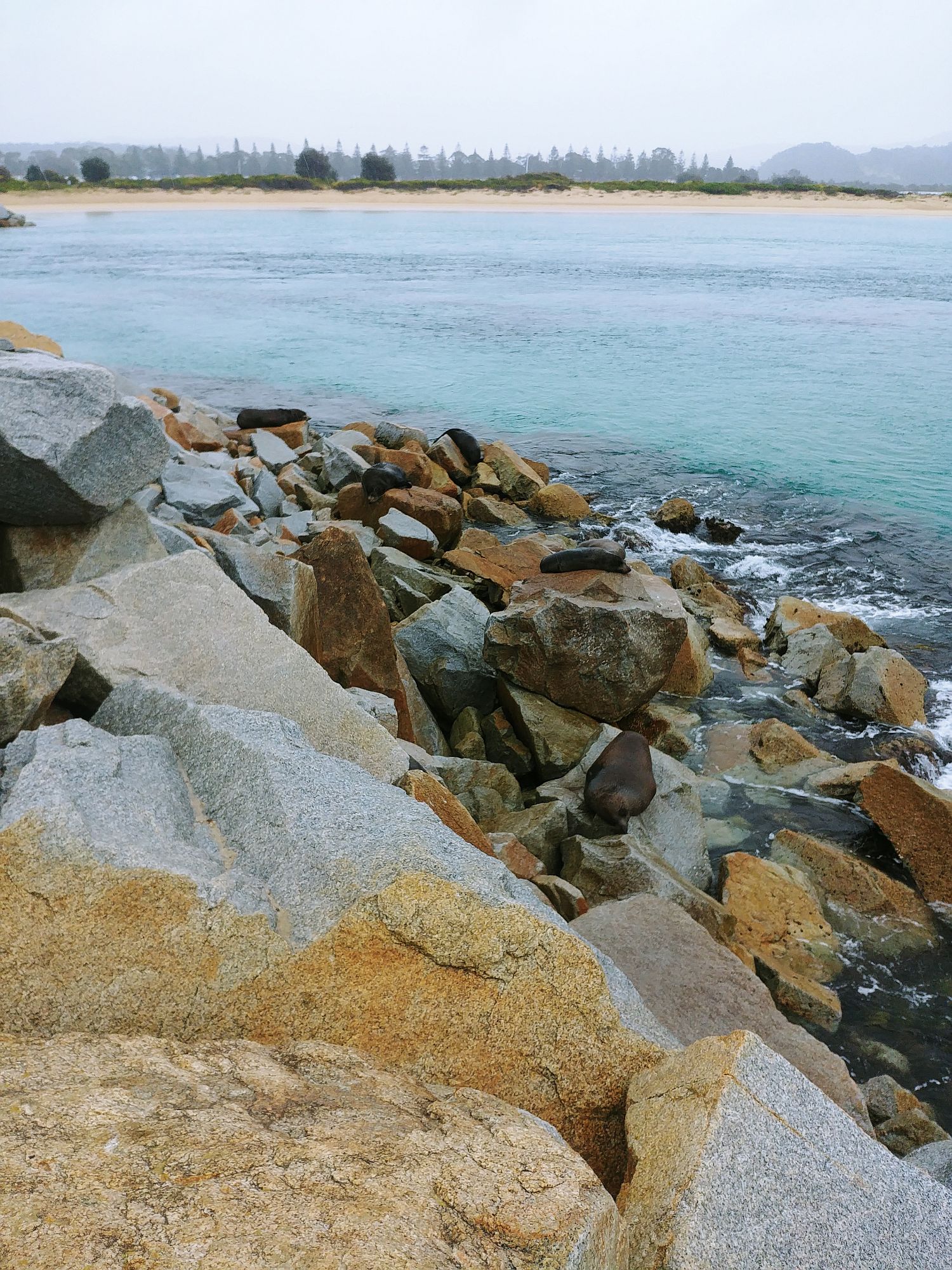 Narooma Harbour - 09