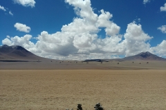 Salar de Uyuni Tour - Day 1 - 18 - Dali Desert