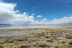 Salar de Uyuni Tour - Day 1 - 24 - Wetlands by the hot springs