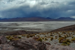 Salar de Uyuni Tour - Day 1 - 61 - Borax field