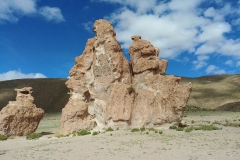 Salar de Uyuni Tour - Day 2 - 11 - Camel