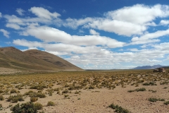 Salar de Uyuni Tour - Day 2 - 24