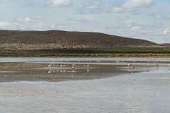 Salar de Uyuni Tour - Day 2 - 30