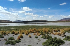 Salar de Uyuni Tour - Day 2 - 31