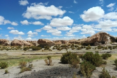 Salar de Uyuni Tour - Day 2 - 33