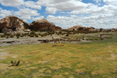 Salar de Uyuni Tour - Day 2 - 34