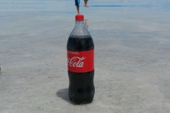 Salar de Uyuni Tour - Day 3 - 35 - Standing on a bottle