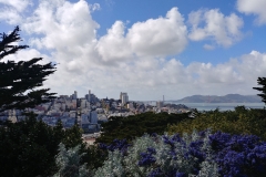 San Francisco - 67 - Telegraph Hill
