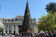 Santiago 03 - Christmas tree