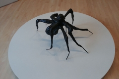 SFMOMA - 05 - Spider