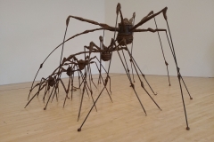 SFMOMA - 06 - Spider invasion