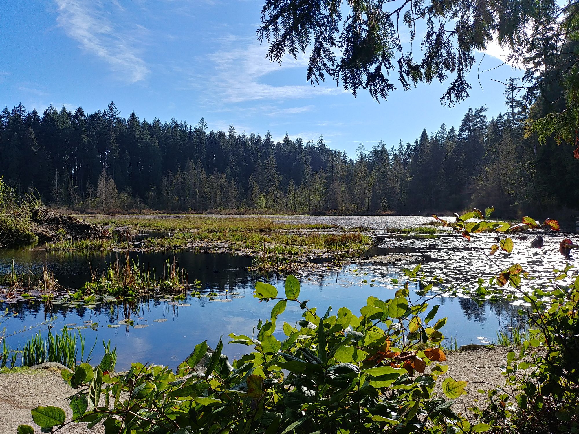 Stanley Park - 09 - Beaver Lake