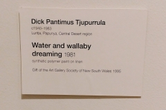 Sydney - Art Gallery of NSW - 27 - Water and wallaby dreaming