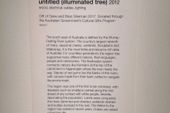 Sydney - Art Gallery of NSW - 29 - Untitled - Illuminated tree