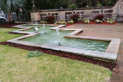Sydney - Botanic Gardens 19