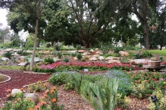 Sydney - Botanic Gardens 22