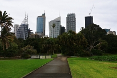 Sydney - Botanic Gardens 27