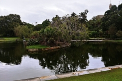 Sydney - Botanic Gardens 30