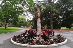 Sydney - Botanic Gardens 36