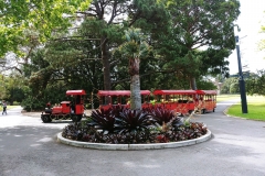 Sydney - Botanic Gardens 39