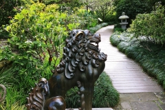 Sydney - Botanic Gardens 48 - Lion