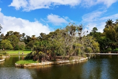 Sydney - Botanic Gardens 56