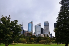 Sydney - Botanic Gardens 59