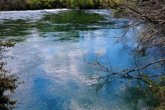 Taupo - 17 - Waikato River